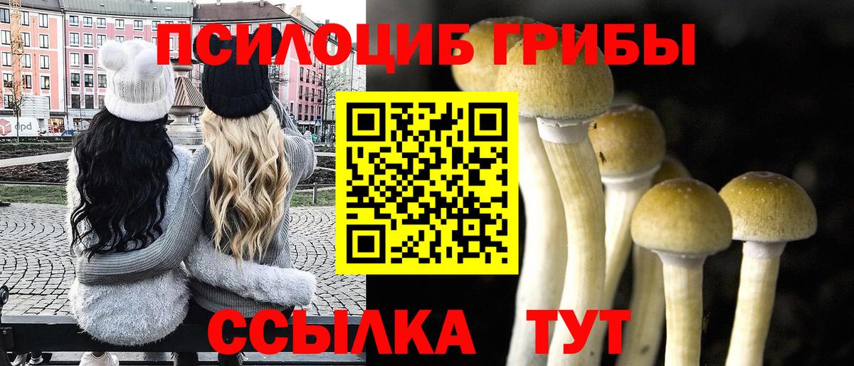 Верхняя Пышма  Псилоцибиновые грибы GOLDEN TEACHER  Вход с VPN 